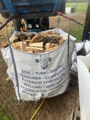 Dry seasoned oak logs - seasoned, hardwood