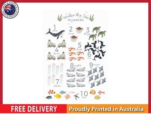 New sea animals - new,