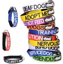 Dog Buckle Collar And Lead Sets Prevent Accidents By Warning Others In Advance