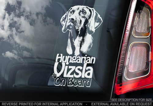Vizsla car window sticker - vizsla,