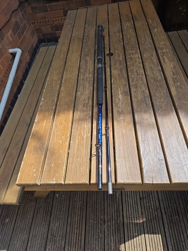 Daiwa boat fishing rod - fishing,
