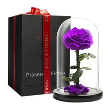 LOVAPPY Preserved Forever Rose