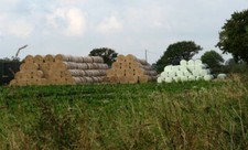 Photo 6x4 Straw bales and
