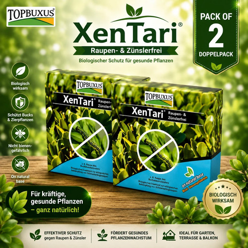 Topbuxuš xentari boxwood - topbuxuš,