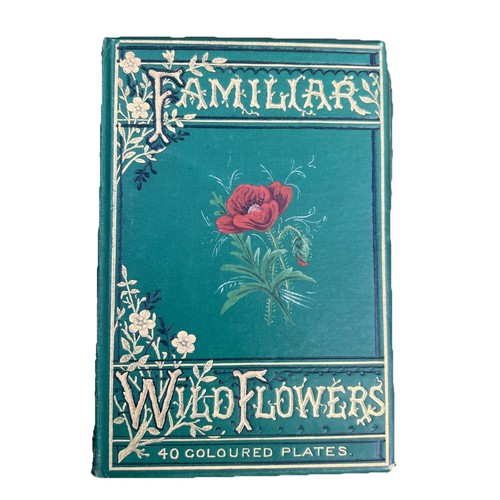 Vintage familiar wild flowers - vintage,