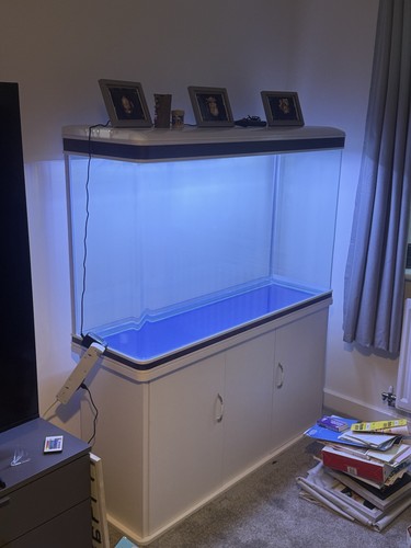 300l glass rectangular fish - glass,