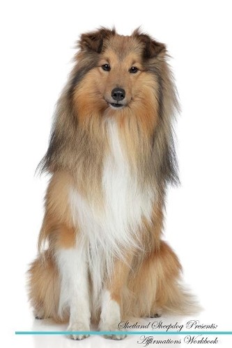 Shetland sheepdog affirmations - sheepdog,