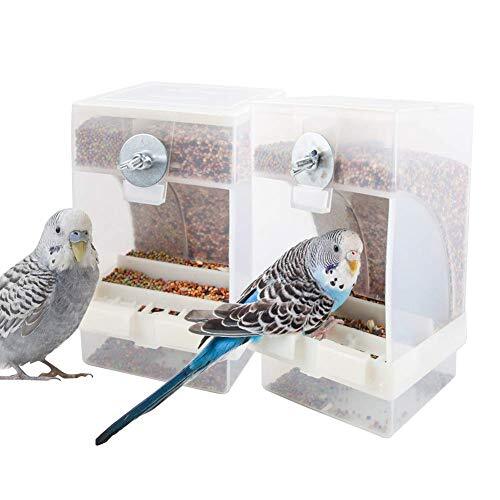 Mess bird feeder - no-mess, parrot