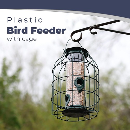 Squirrel proof bird - squirrel, for