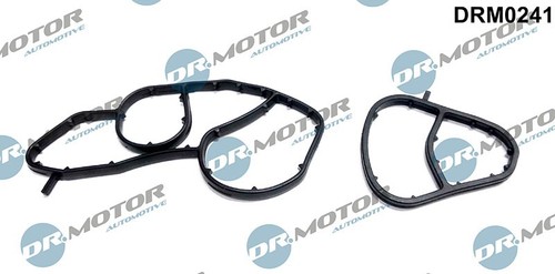 Fits motor drm0241 - drm0241, seals