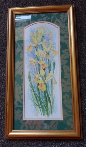 Golden irises adelene - golden, by