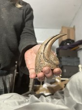 Reproduction Dinosaur Claw