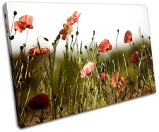 Poppy Field Flowers Floral