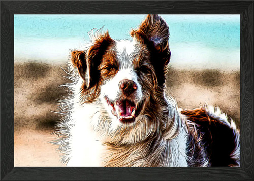 Border collie framed wall - border,