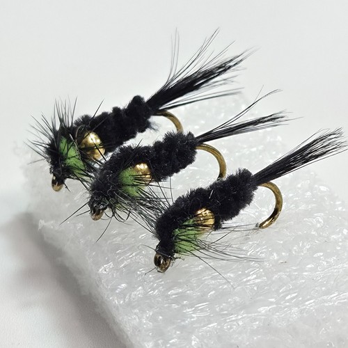 Montana fly fishing trout - montana,
