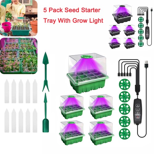 Pack mini greenhouse seed - 5,
