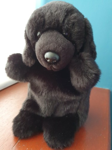 Black labrador puppet - labrador,