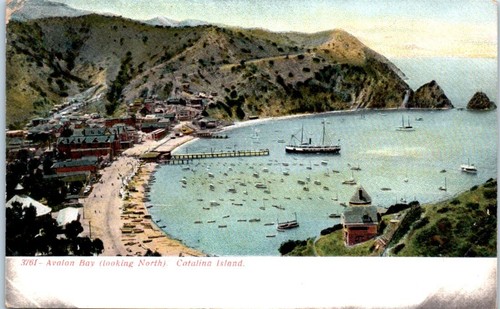 Avalon bay looking - avalon,
