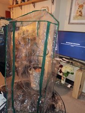 Green House Replacement Plastic Cover