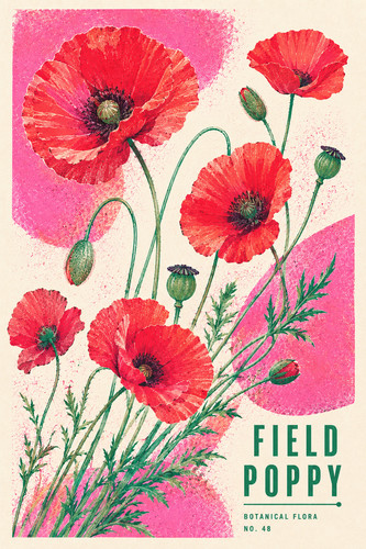 Instrukcjascribe poppy - 48., instrukcjascribe_poppy