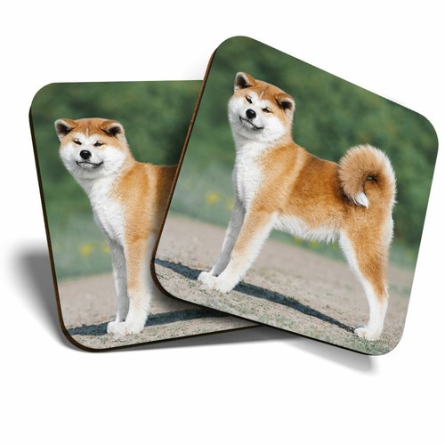 Coasters akita inu - coasters, puppy