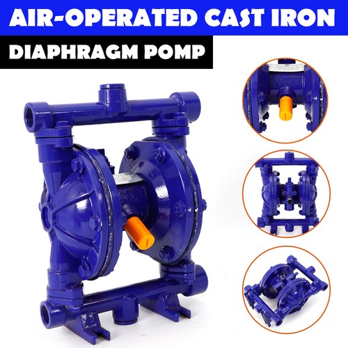 Heavy duty air diaphragm pump - diaphragm,