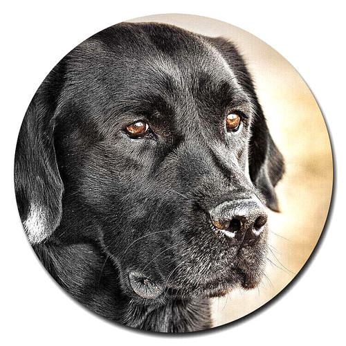 Black labrador dog pendant - black,