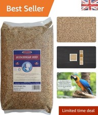 Johnston & Jeff Budgerigar