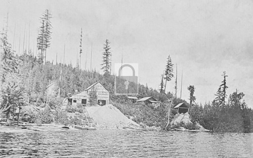 Woodrat mine priest lake - woodrat,