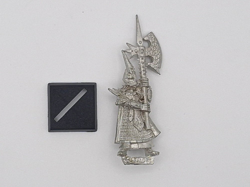 Dark elf black guard - dark,