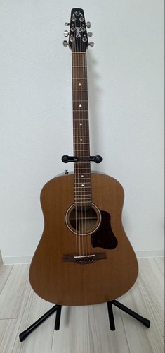 Acoustic guitar seagull - acoustic,