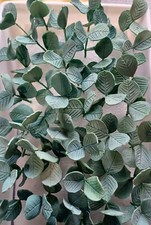 WIRED PETAL PASTE  EUCALYPTUS