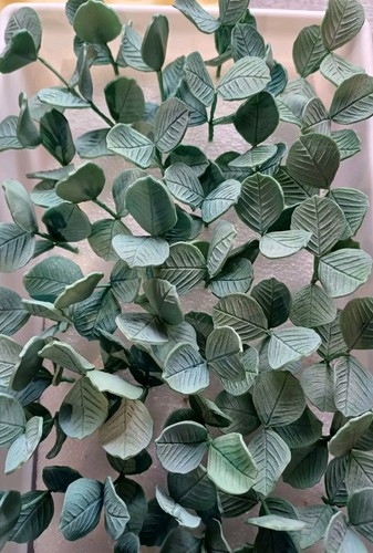 Wired petal paste eucalyptus - wired,