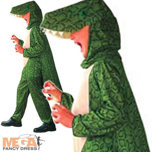 Dinosaur fancy dress - fancy, boys