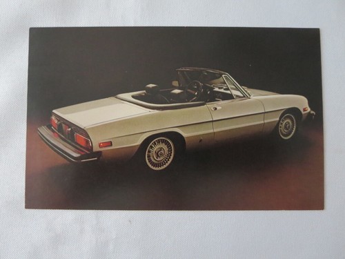 1981 1982 alfa - 1981,