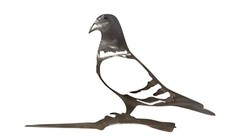 Pigeon Spike Sign Metal Bird