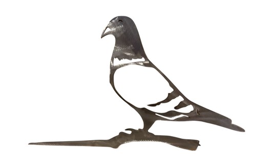 Pigeon spike sign - sign, metal
