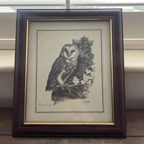 Joel kirk framed print - kirk,