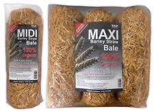 TAP POND BARLEY STRAW BALE MINI/MIDI/MAXI LAVENDER ALGAE CONTROL BLANKETWEED