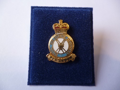 Royal air force regiment lapel - regiment,