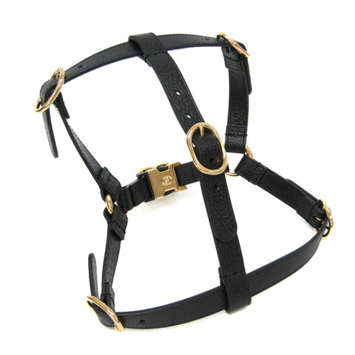 Gucci interlocking pet - gucci, g