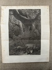 Antique Print Fox Hunting 1807