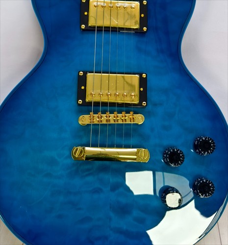 Custom style electric - lp,