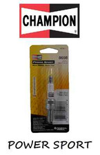 CHAMPION 1 CANDLE 8698