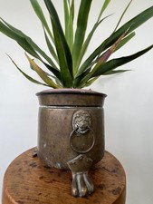 Vintage gorgeous brass lion - gorgeous,
