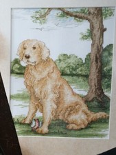 Cross Stitch Chart (From Magazine) - Faithful Friend - Golden Retriever
