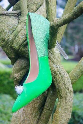 Tinkerbell inspired court - tinkerbell,