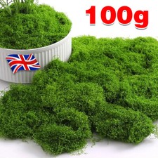 Artificial Faux Green Moss