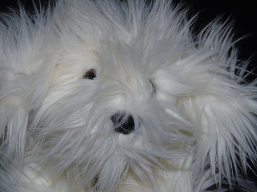 Dulux dog fluffy grey - fluffy, white