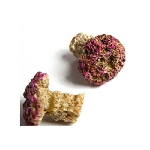 Natureform coral frag plug - natureform,